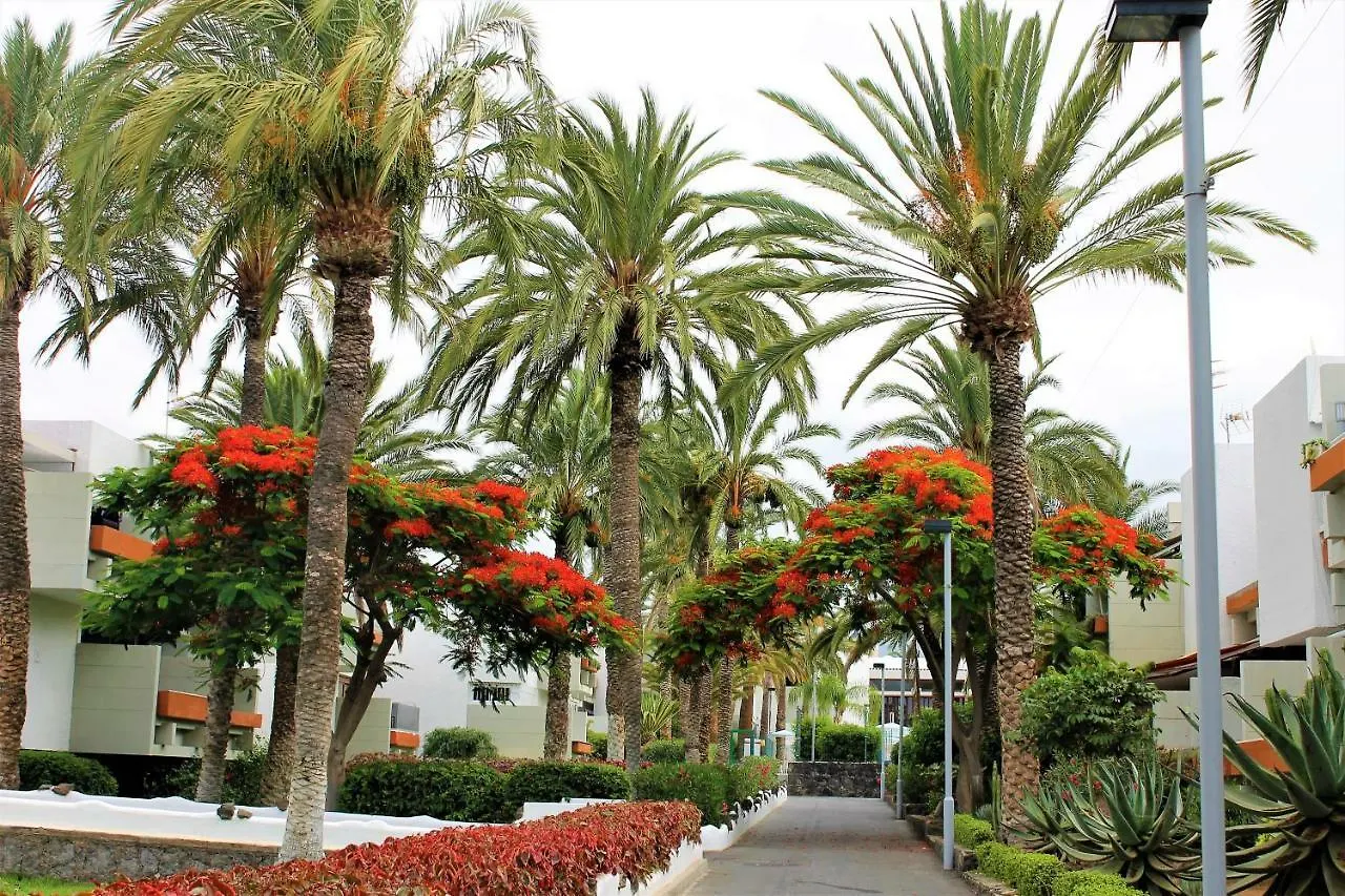 Ke Casetta Tenerife Costa Del Silencio Vakantiehuis